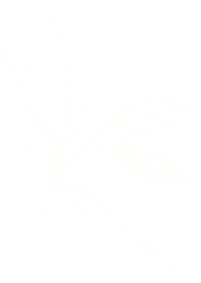 オレンジ背景装飾