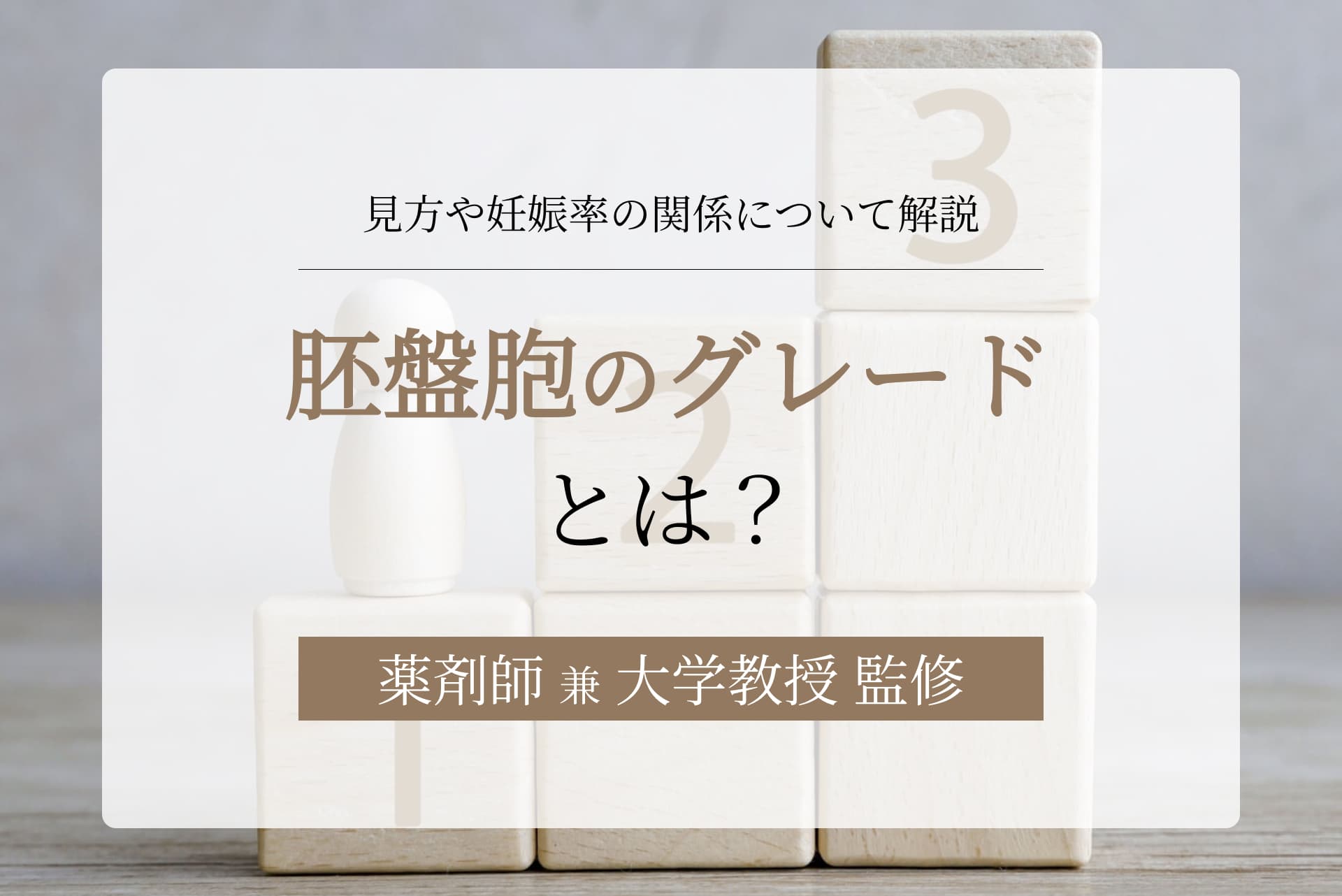 胚盤胞のグレードとは?見方や年齢と妊娠率の関係について解説